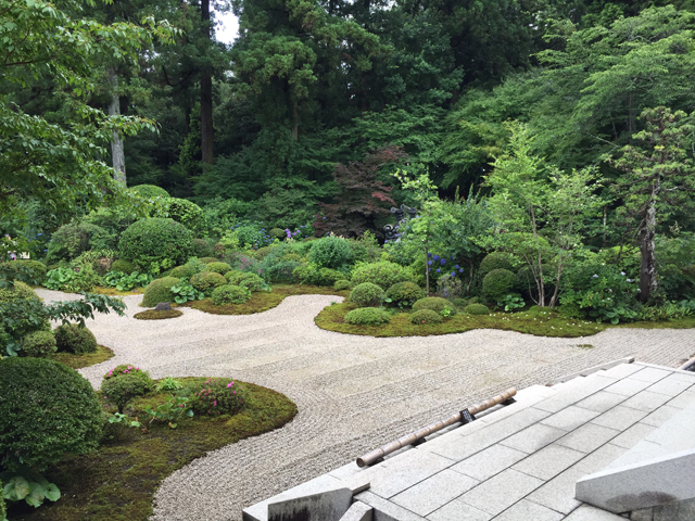 富桜会 静岡支部活動報告
