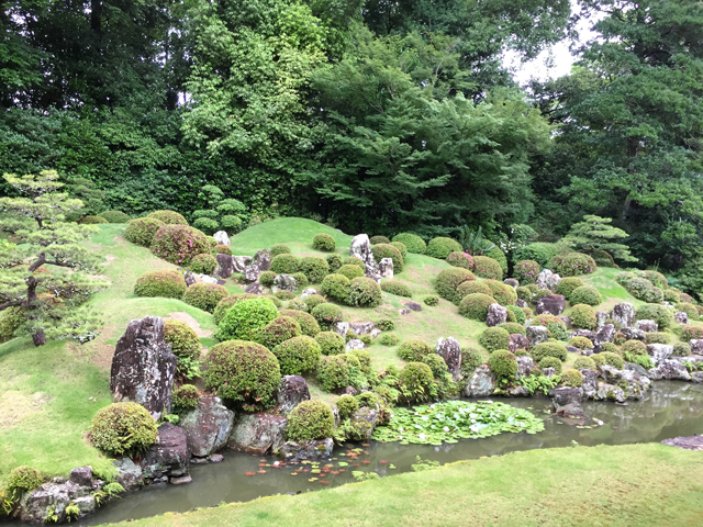 富桜会 静岡支部活動報告