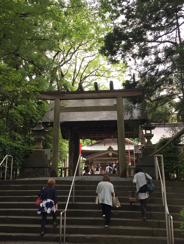 富桜会 静岡支部活動報告